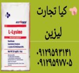 لیزین6