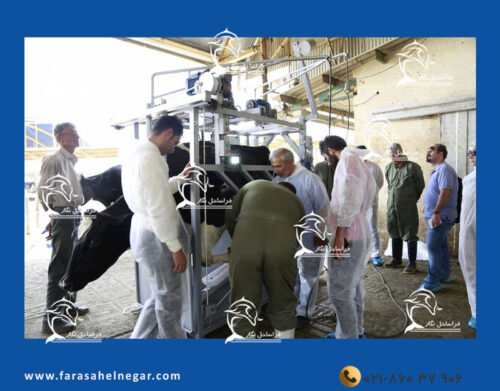 دوره-آموزشی-سم-چینی