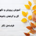 آموزش باغبانی خانگی