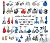 TP foolad . com