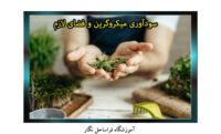 میکروگرین1