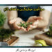 دوره آموزشی میکروگرین