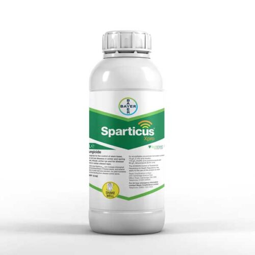 Sparticaus