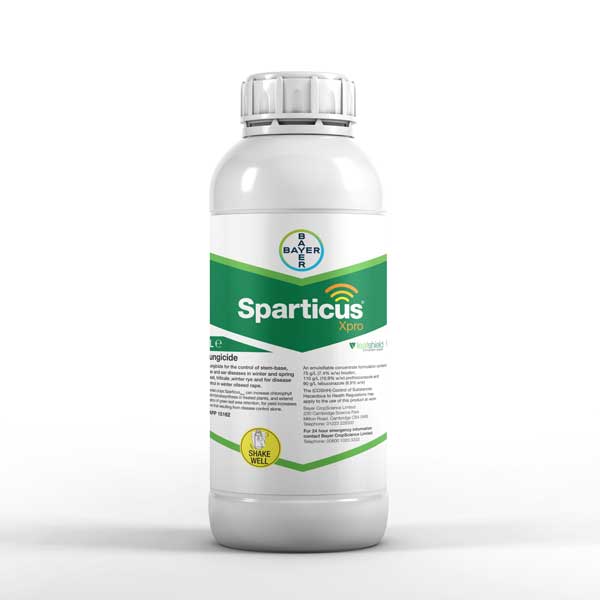 Sparticaus