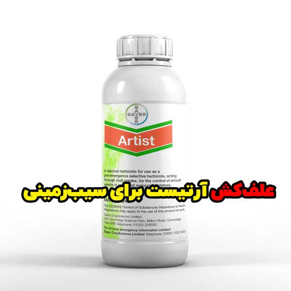 Artist