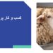 دوره جامع آموزش پرواربندی گوسفند و بز؛ راهی به سوی تولیدی موفق