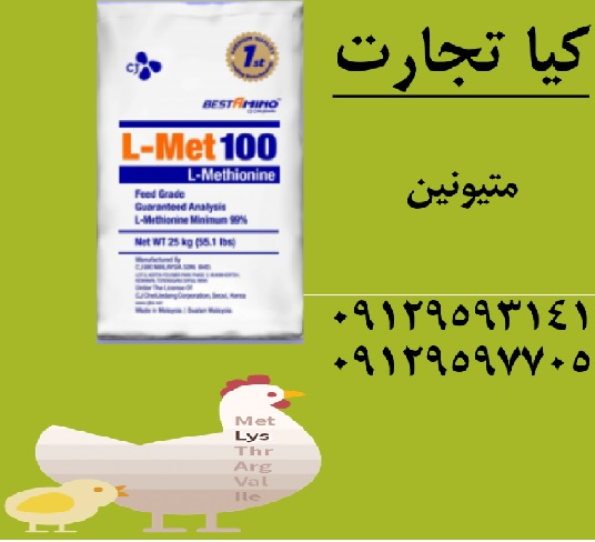متیونین1111111111111111