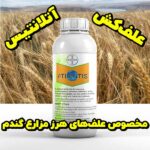 خرید علف‌کش Atlantis با قدرت بالا برای مزارع گندم