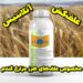 خرید علف‌کش Atlantis با قدرت بالا برای مزارع گندم