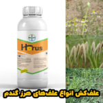 خرید عمده Horus | علف‌کش برای نلبودی تمام علف‌های هرز گندم زمستانه