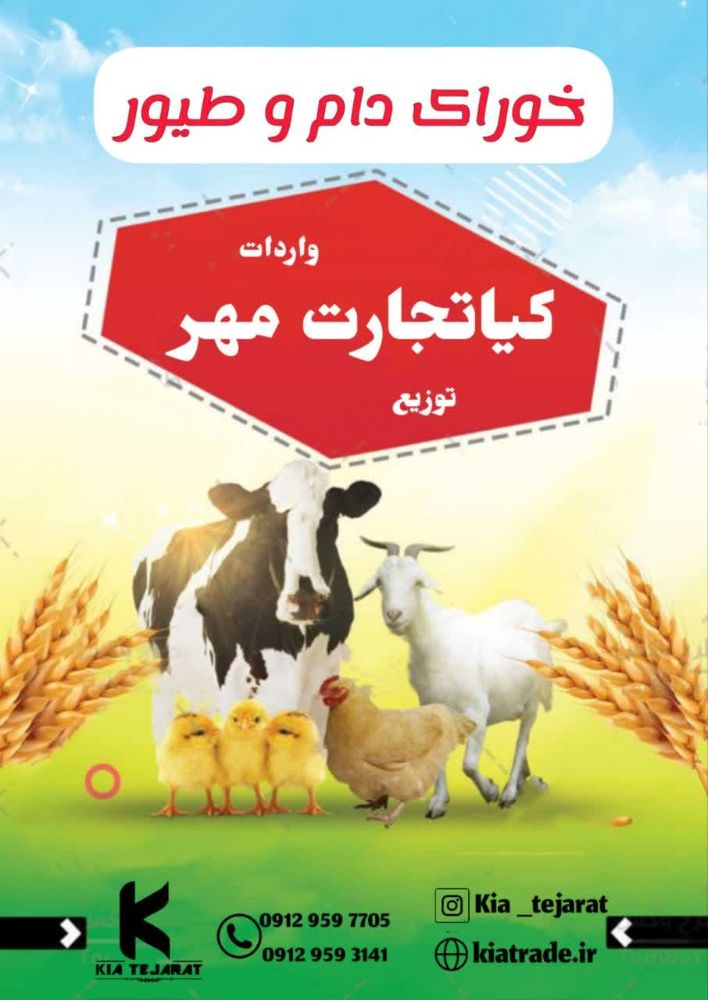 شرکت