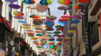 وان1 (2)