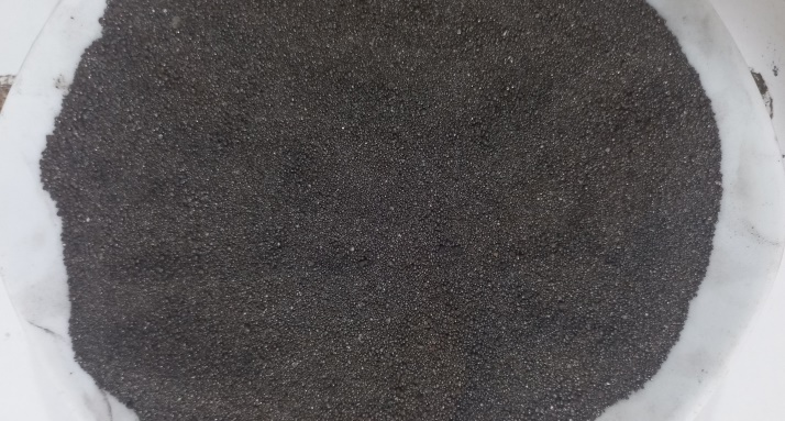 20241224_110434_2103298115