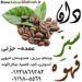 دان سبز قهوه 09198005569