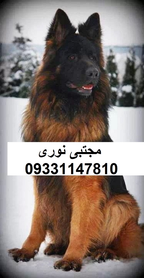 a1a7d0d3f54926621fe0c6a4e13ec54b - Copy