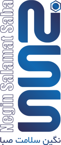 LOGO NSS NEW1