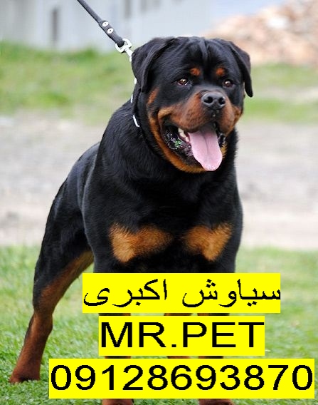 5555