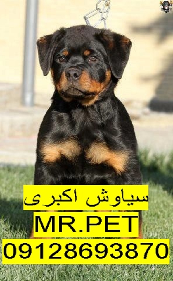 717b8eaffa76da96e2bca8a1f1b3d6f1