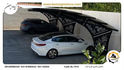 Canopy_car_Laser_Metal_Taraz_BL_015_P10