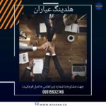 هلدینگ عیاران فردیس