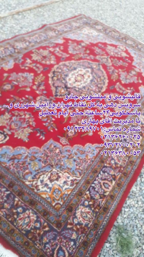 IMG-20240729-WA0004
