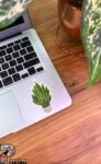 8165-K-Censorship-flower-استیکر-گل-سانسوریا