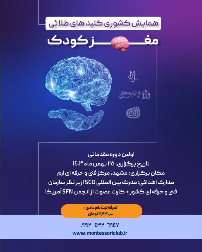 مغز