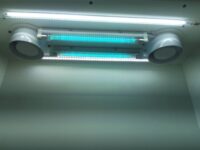 IMG-20250109-WA0005