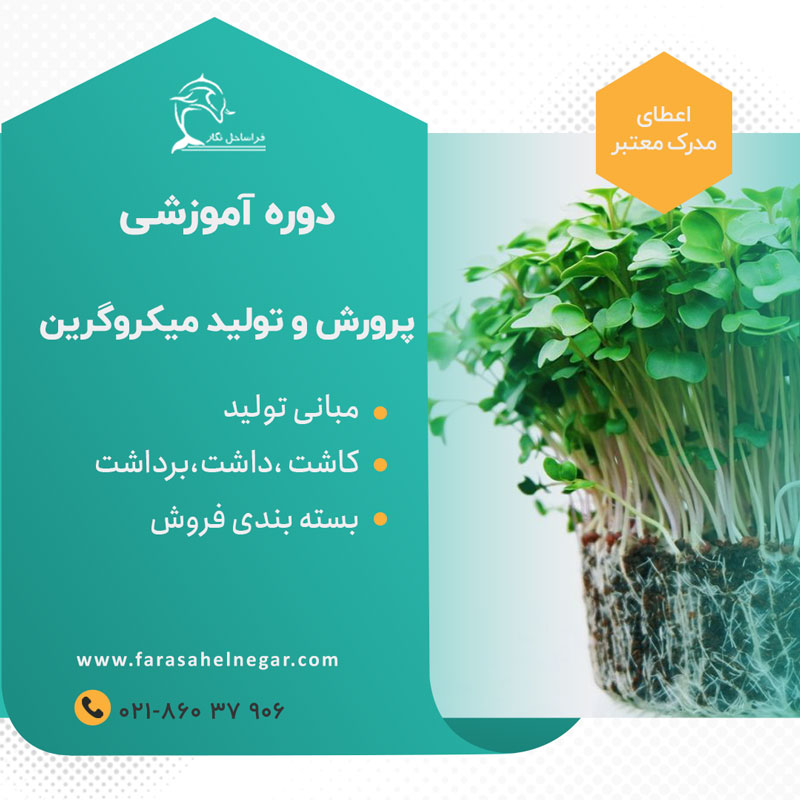 میکروگرین-دوره
