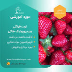 توت-فرنگی