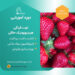 دوره جامع و کاربردی کشت طبقاتی توت‌فرنگی