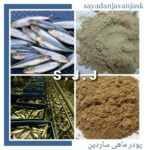 پودر ماهی پودر ماهی کیلکا