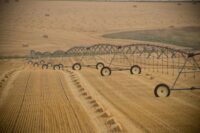 GettyImages-915441792-5bb5107ec9e77c002647d179
