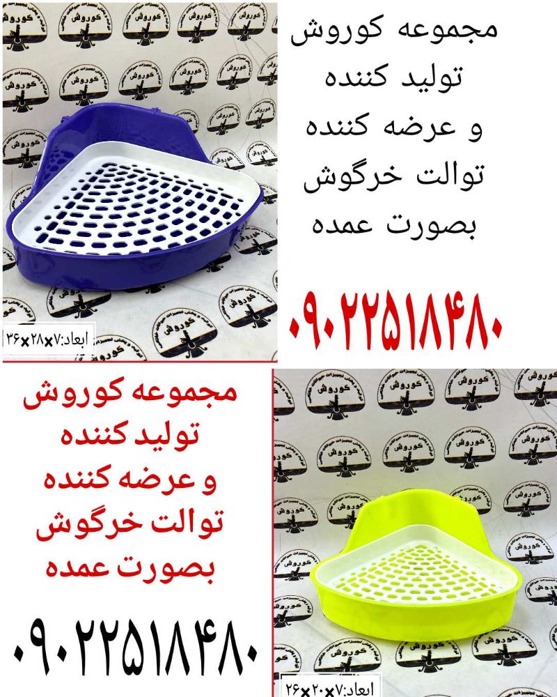 Picsart_25-02-05_14-59-48-685