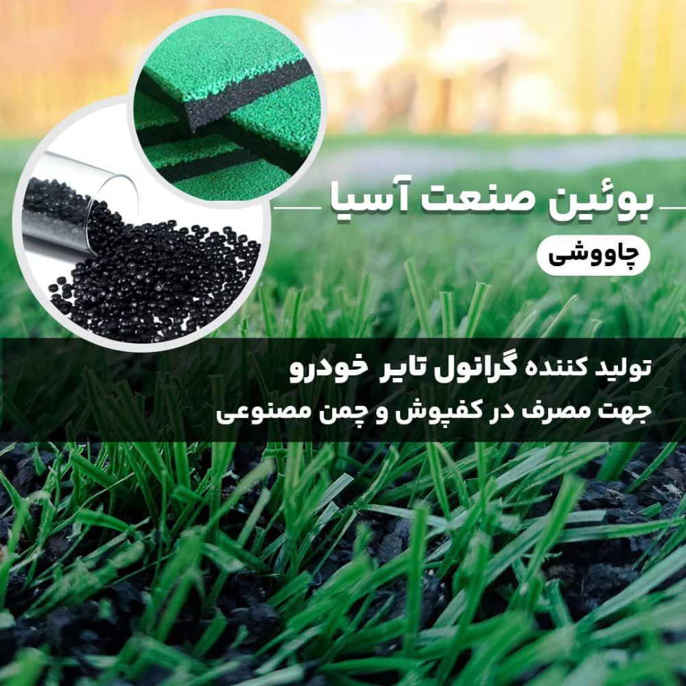 IMG-20250208-WA0005
