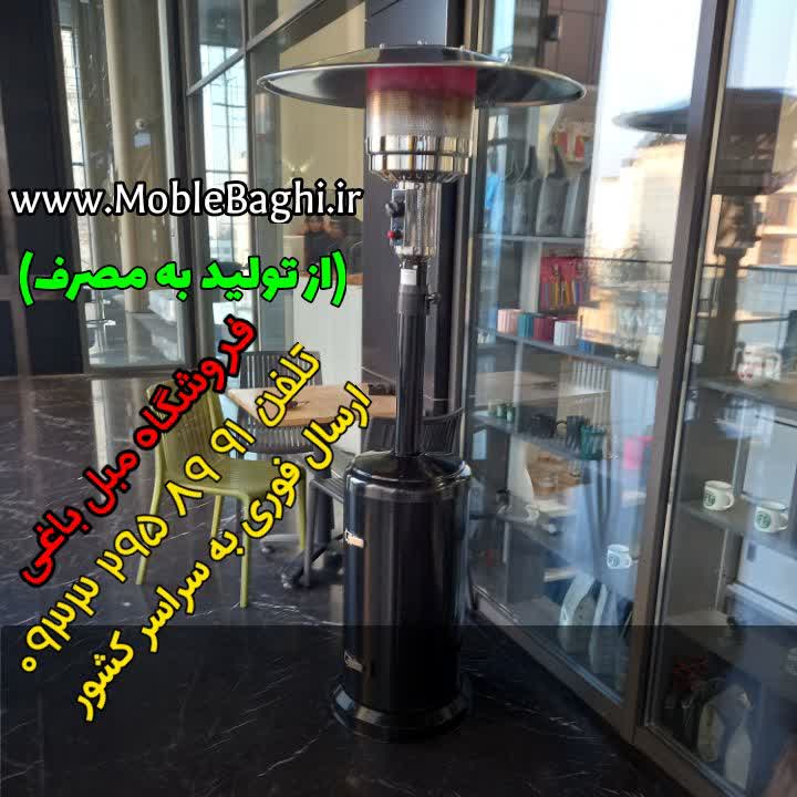 photo16946259399