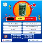 قیمت بذر شبدر ، انواع بذر چمن ، بذر شبدری