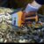 دستگاه XRF برند HITACHI مدل X-MET8000 SMART - تصویر2