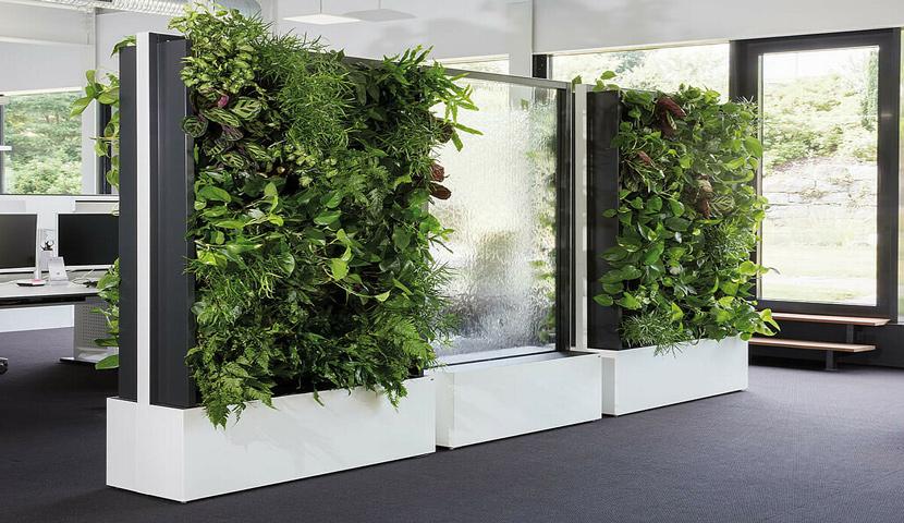 green-wall-9514