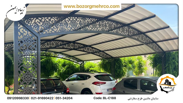 Canopy_car_Laser_Metal_Custom_BL-C188_P01