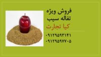 تفاله سیب 1111