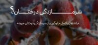 برای جلوگیری از سرمازدگی درختان باغ از این کودها استفاده کن!