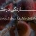 برای جلوگیری از سرمازدگی درختان باغ از این کودها استفاده کن!