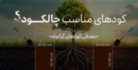 عرضه کودهای مناسب چالکود سبزینه مارال