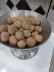 IMG-20230421-WA0003