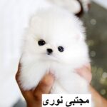 260965_479 - Copy