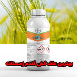 بهترین علف‌کش برای گندم زمستانه، سفارش سم پسیفیکا با قیمت مناسب