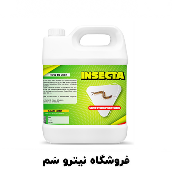 Insecta