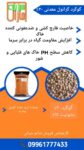 گوگرد گرانول