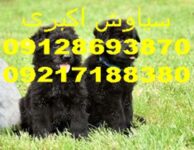 5f852b8a2c08b2bc42f23824081498c2